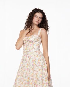 55182972680_062c498b6b_c